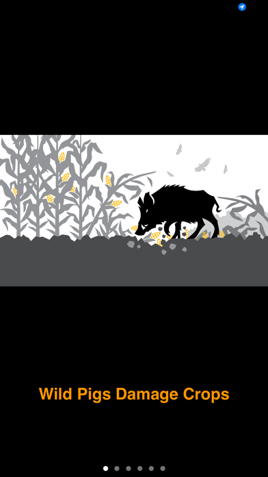 Screenshot #1 pour Squeal on Pigs