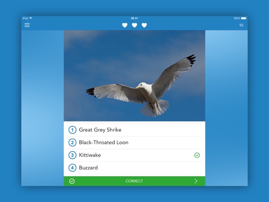 Vogels 2 LITE iPad app afbeelding 4
