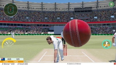 World Cricket League Champions Screenshot