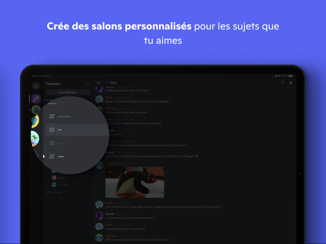 ‎Discord - Discute & Partage Capture d'écran