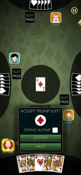 Game screenshot Euchre Ultimate apk