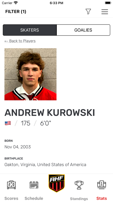 Atlantic Hockey Federation Screenshot