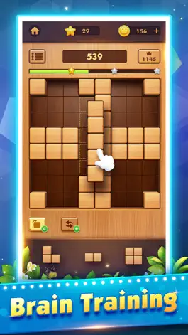 Game screenshot Wood Block Puzzle Games:Tetria hack