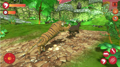 King Tiger Quest Wildcat Game Screenshot