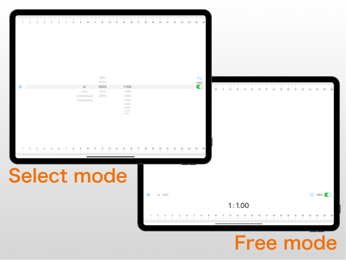 Scale Ruler - various measures