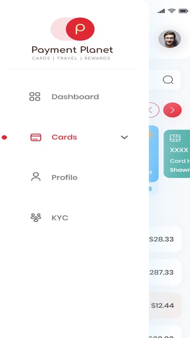 Payment Planet Screenshot