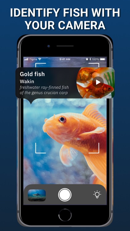 Fish Finder & Identifier App by Yakiv Yeskizarov