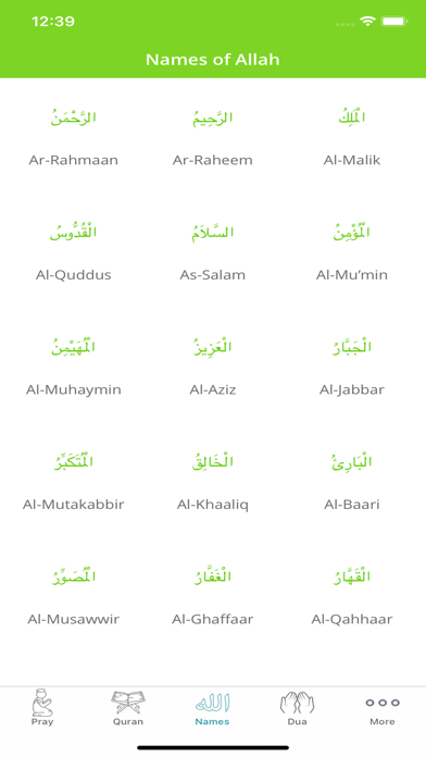 Quran in English - Al Quran Screenshot
