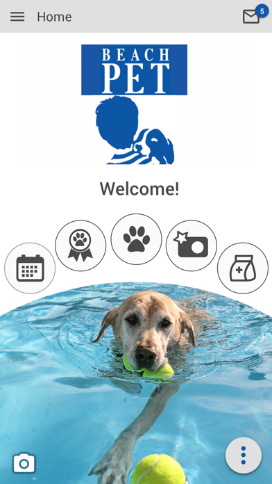 Beach Pet Screenshot