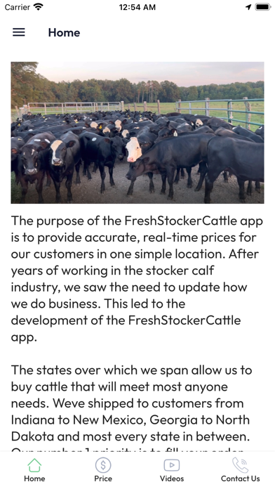 Fresh Stocker Cattle Screenshot