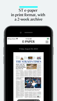 the straits times problems & solutions and troubleshooting guide - 3