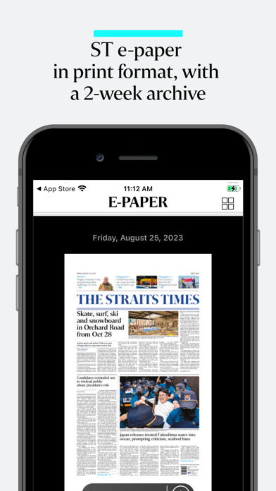 The Straits Times Screenshot