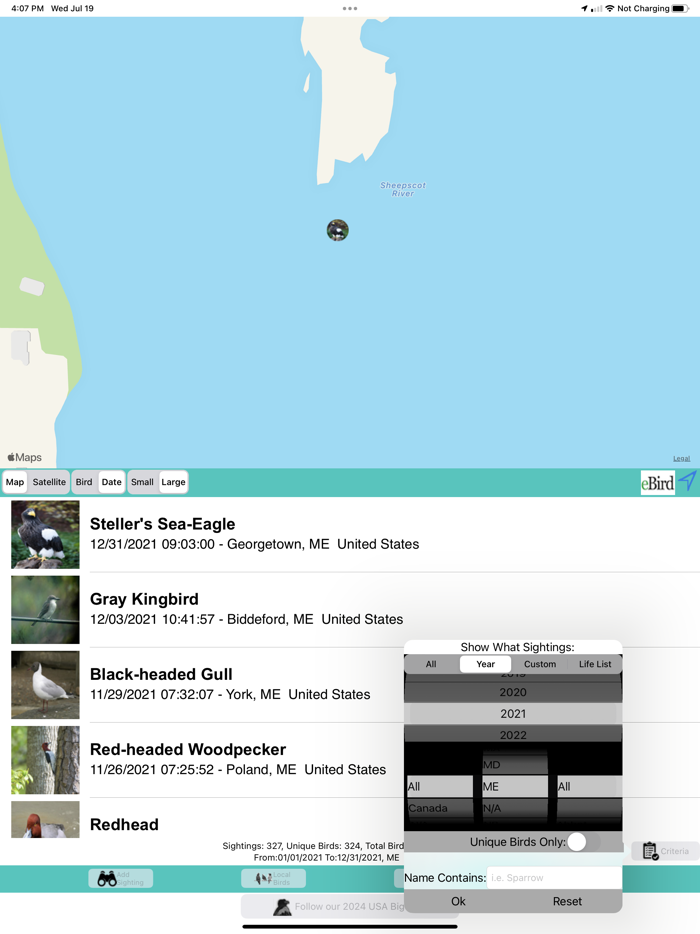 Big Year Birding ABA