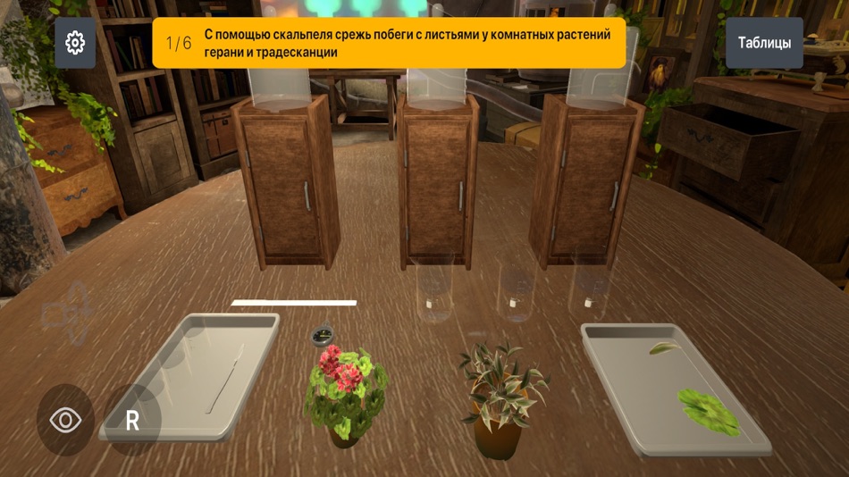 #8. NIS Lab (iOS) 由: Bekzhan Bagdybayev