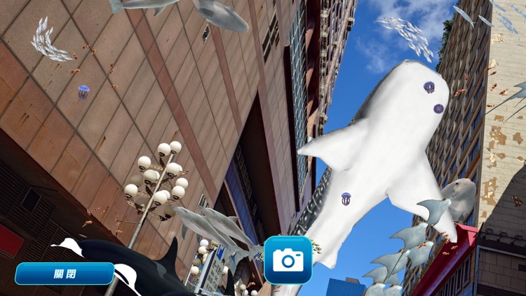 台北海洋科技大學海洋奇緣AR體驗 screenshot-3