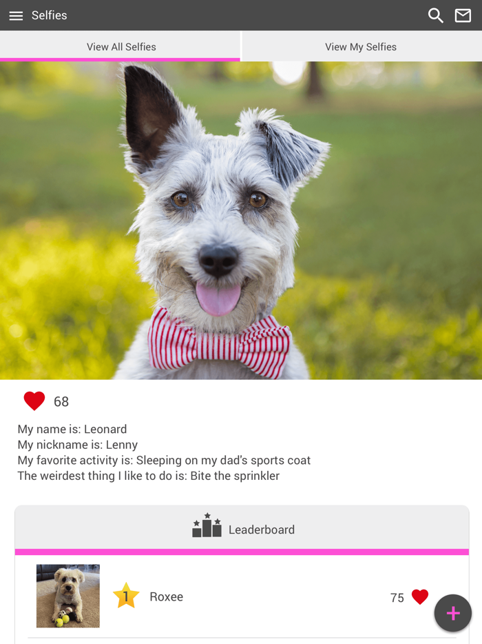 Columbia Animal Hosp