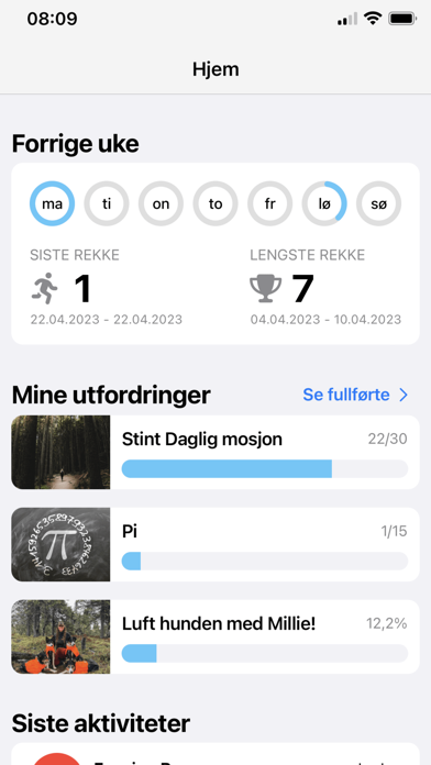 Stint Screenshot
