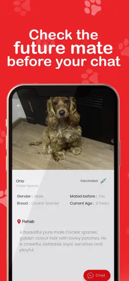 Game screenshot Duo-Pet hack