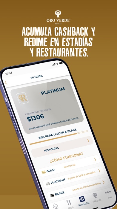 Hoteles Oro Verde Screenshot