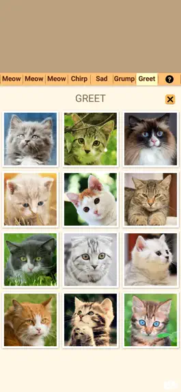 Game screenshot Cat Kitten Meow Sound Board hack