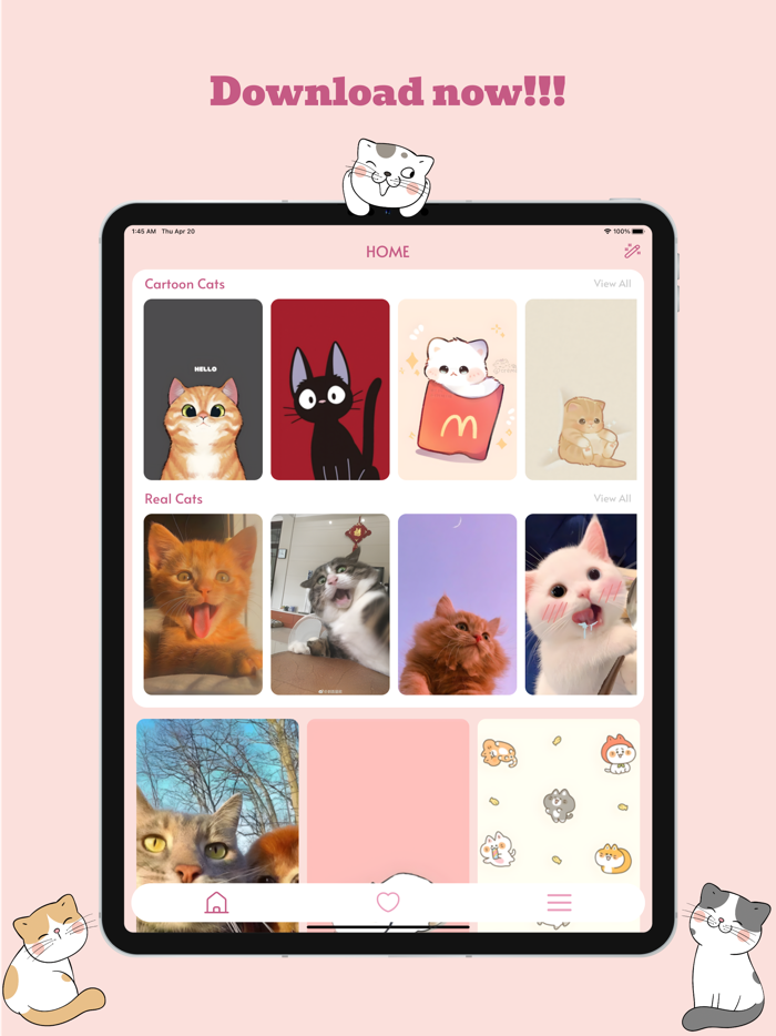 Meow Wallpapers