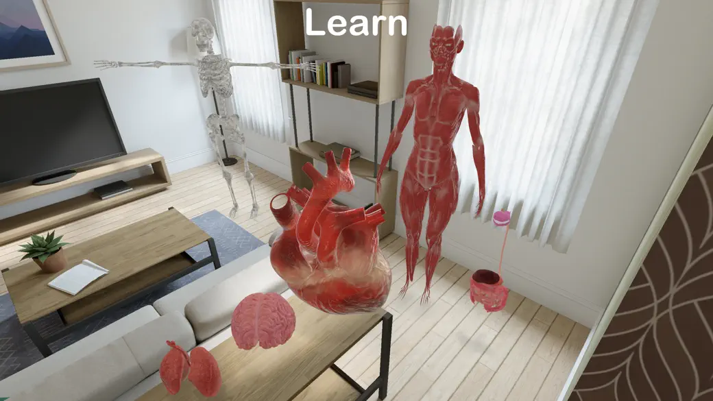 arvid Animals & Dinosaurs screenshot 4