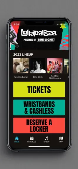 Game screenshot Lollapalooza USA mod apk