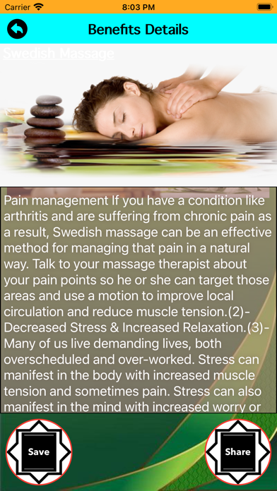 The Massage Manager Screenshot