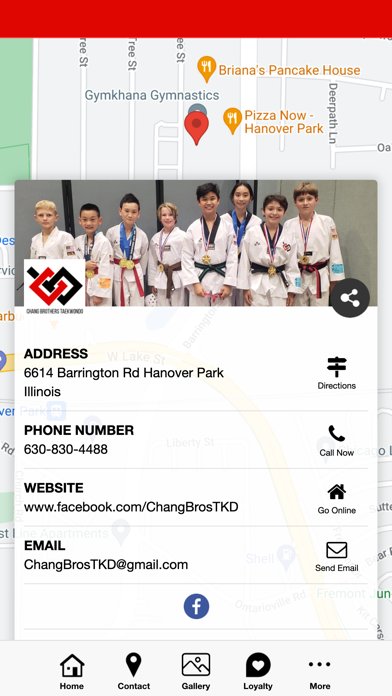 Chang Brothers Taekwondo Screenshot