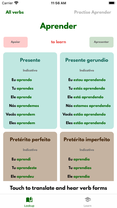 VerbSquirt Portuguese Verbs Screenshot