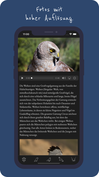 Unsere Vögel Screenshot