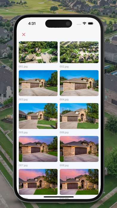 Home Snappers Screenshot