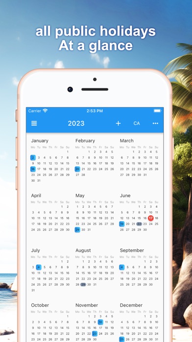 Public holidays calendar Screenshot