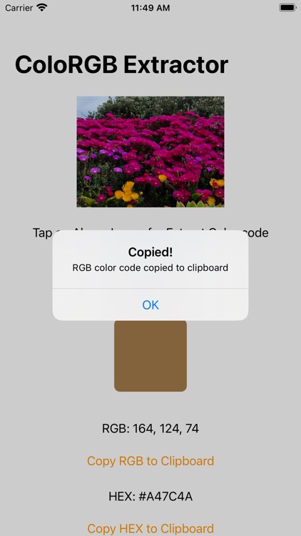 ColoRGB Extractor screenshot-4