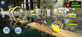 Game screenshot Animal Water Run-Safari Splash hack