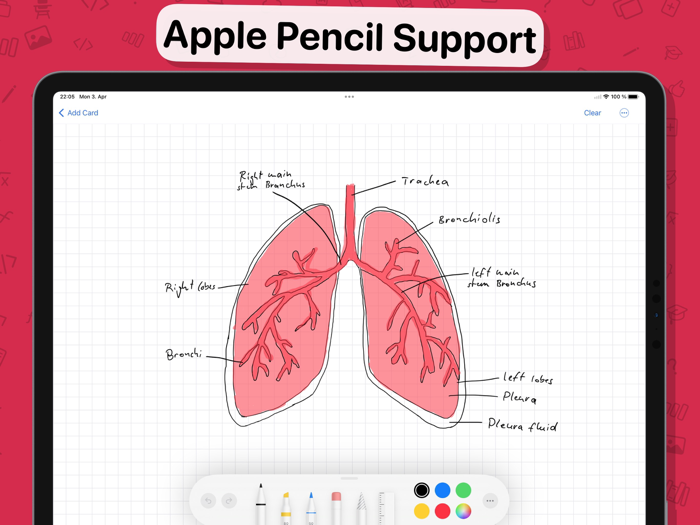 Flashtex Learn Flashcards