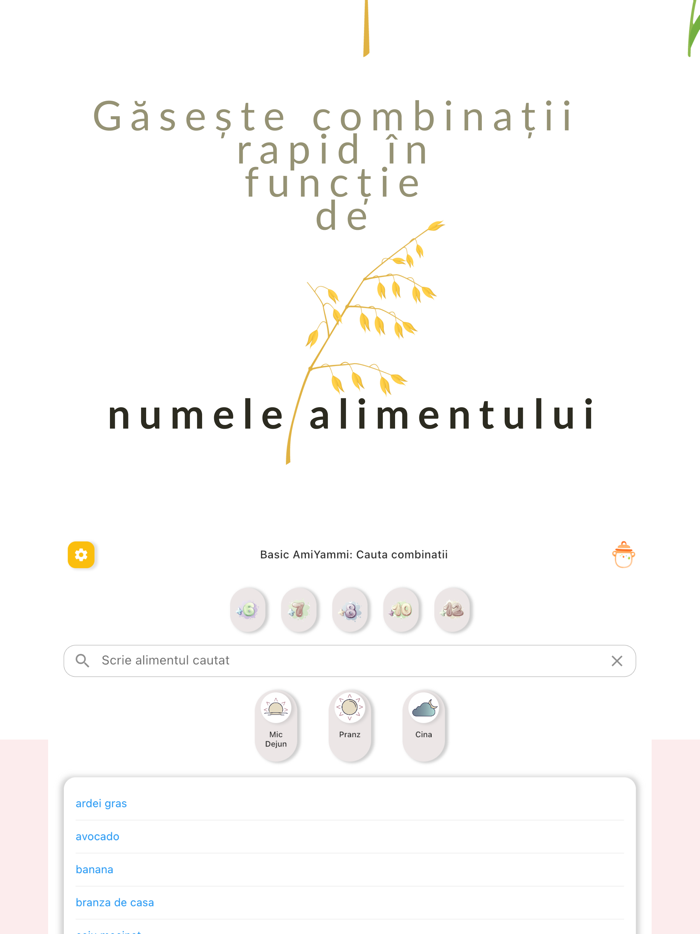 Basic AmiYammi Alimente bebe