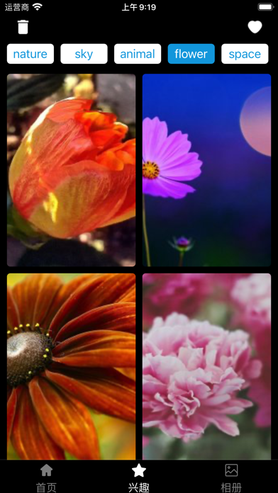 hd wallpaper for phone Screenshot