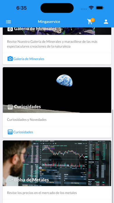Mingaservice Screenshot
