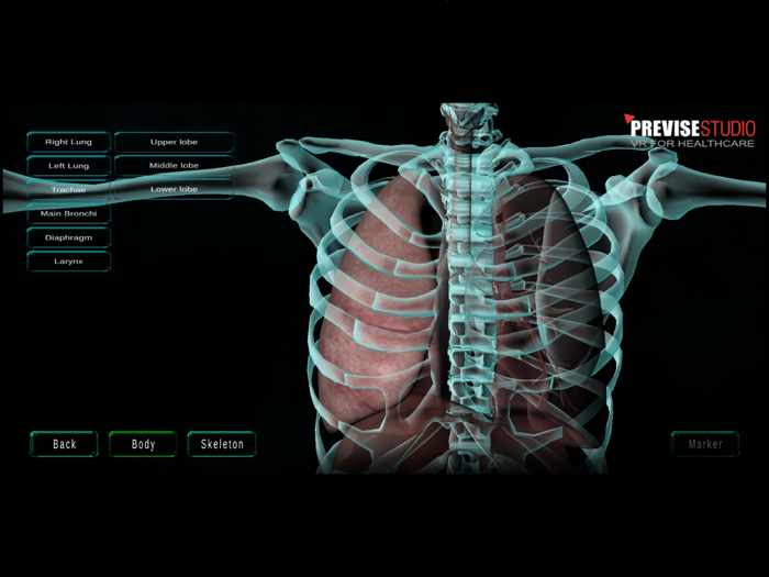 3D Human Anatomy Pro