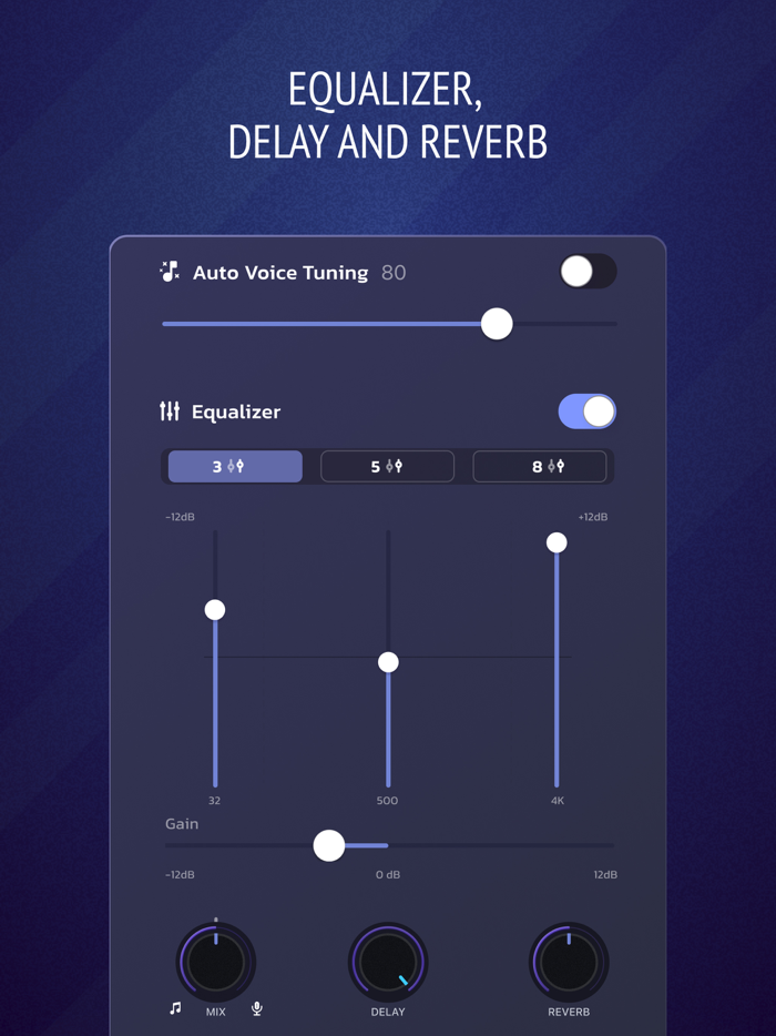 Pro Microphone Voice Record