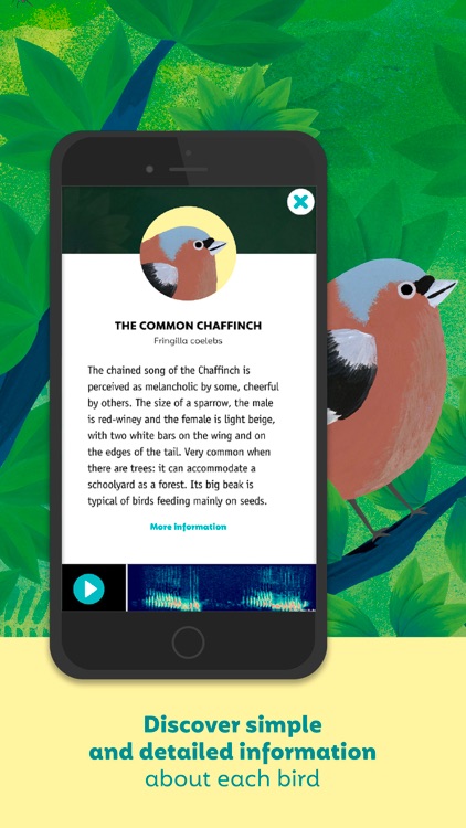 Birdie Memory screenshot-5