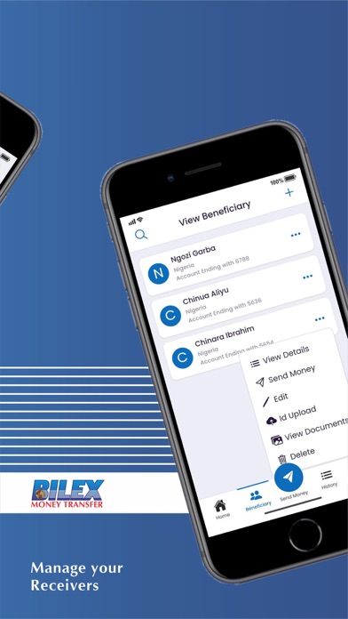 Bilex Money Screenshot