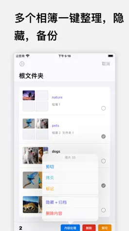 Game screenshot Sorter-相册整理,照片视频清理与分类 apk