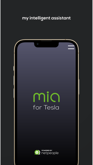 mia for Tesla Screenshot