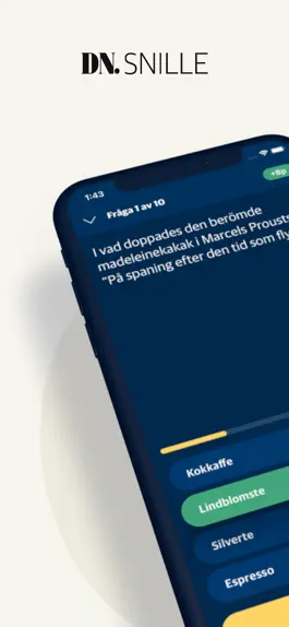 Game screenshot DN Snille mod apk