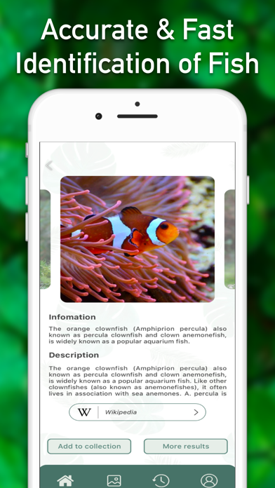 Plant & Fish: 植物の名前, 花の名前, 魚図鑑のおすすめ画像3