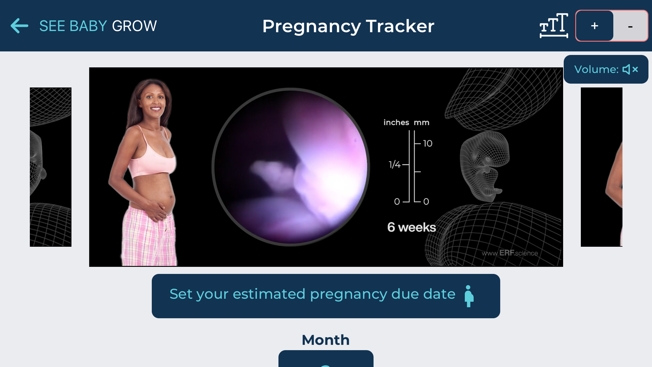 See Baby Grow