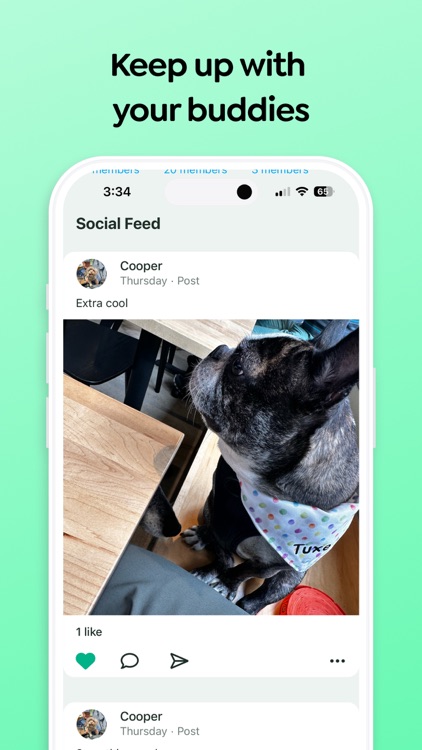 GetBuddy - Dog Social Network screenshot-6
