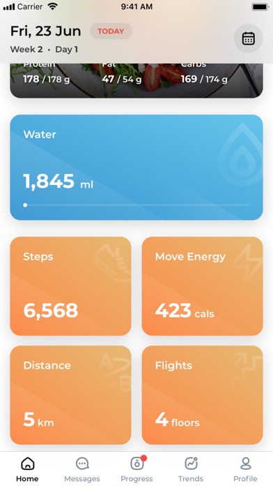 BR Wellness Screenshot